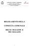 REGOLAMENTO DELLA CONSULTA COMUNALE DELLE RAGAZZE E DEI RAGAZZI