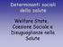 Determinanti sociali della salute. Welfare State, Coesione Sociale e Disuguaglianze nella Salute