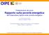 Rapporto sulla povertà energetica dell Osservatorio italiano sulla povertà energetica