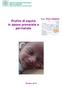 Profilo di equità in epoca prenatale e perinatale. Prov. Forlì-Cesena