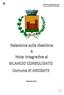 BILANCIO CONSOLIDATO 2017 Gruppo COMUNE DI ARCISATE