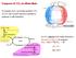 Trasporto di CO 2. ed effetto Bohr. . La CO 2. nei tessuti produce CO 2. Il consumo di O 2. deve essere rimossa e portata ai polmoni (o alle branchie)