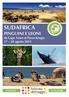 SUDAFRICA. PINGUINI E LEONI da Cape Town al Parco Kruger agosto 2019