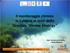 Il monitoraggio chimico in Calabria ai sensi della Direttiva Marine Strategy Dott. Domenico Ricupero CRSM ARPACAL