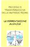 PROCESSO E TRASFORMAZIONE DELLE MATERIE PRIME: LA FERMENTAZIONE ALCOLICA