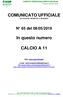 COMUNICATO UFFICIALE STAGIONE SPORTIVA 2018/2019. In questo numero CALCIO A 11