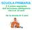 SCUOLA PRIMARIA. È il primo segmento dell istruzione obbligatoria che è di 10 anni. Ha la durata di 5 anni