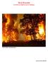 Terra Bruciata. Il fenomeno degli incendi in Sardegna. Fonte immagine:   Gianmario Cabizza (498339)