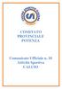 COMITATO PROVINCIALE POTENZA. Comunicato Ufficiale n. 10 Attività Sportiva CALCIO