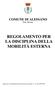 COMUNE DI ALESSANO Prov. di Lecce REGOLAMENTO PER LA DISCIPLINA DELLA MOBILITÀ ESTERNA