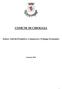 COMUNE DI CHIOGGIA. Settore Attività Produttive, Commercio e Sviluppo Economico