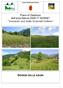 Comunità Montana Feltrina. Piano di Gestione dell area Natura 2000 IT Versante sud delle Dolomiti Feltrine SCHEDE DELLE AZIONI