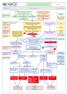 Diagramma di Flusso. Accesso diretto. Accoglienza in PS, prima valutazione, assegnazione Cod. Triage (4) Gestione clinica e monitoraggio Pz.