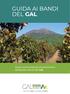 Programma di Sviluppo Rurale della Regione Campania 2014/2020; Normativa Comunitaria, Nazionale e Regionale richiamata nel Programma suddetto;