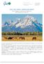 USA THE GREAT AMERICAN WEST Idea di Viaggio - Da Denver allo Yellowstone Dal al