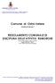 Comune di Ostra Vetere REGOLAMENTO COMUNALE DI DISCIPLINA DELLE ATTIVITA RUMOROSE