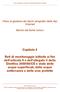 Piano di gestione dei bacini idrografici delle Alpi Orientali. Piano di gestione dei bacini idrografici delle Alpi Orientali. Bacino del fiume Isonzo