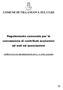 COMUNE DI VILLANUOVA SUL CLISI. Regolamento comunale per la concessione di contributi economici ad enti ed associazioni