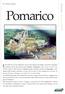 Pomarico. Il Ricciardi ed il Lacava affermano che sia stata edificata dai Pelasgi. Secondo il Racioppi, di Salvatore Sebaste