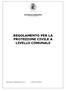 COMUNE DI LUMEZZANE Provincia di Brescia REGOLAMENTO PER LA PROTEZIONE CIVILE A LIVELLO COMUNALE