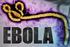 Malattia da Virus Ebola (MVE) Approfondimento sui dispositivi di protezione individuale: caratteristiche tecniche ed uso