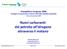 Supporto Tecnico / Commerciale per distributori e flotte. Impianti di rifornimento in noleggio con formule di risk sharing.