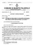 COMUNE DI BUSETO PALIZZOLO PROVINCIA REGIONALE DI TRAPANI C.A.P. 91012 - C/C POSTALE 11996915 - COD. FISC. 80004060812 - PART. I.V.A.