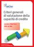 Criteri generali di valutazione della capacità di credito GUIDA PRATICA PER LE PMI