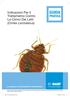 GUIDA PRATICA. Indicazioni Per Il Trattamento Contro Le Cimici Dei Letti (Cimex Lectularius) Le soluzioni ai vostri problemi d infestazione.