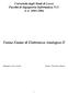 Università degli Studi di Lecce Facoltà di Ingegneria Informatica N.O. A.A. 2003/2004. Tesina Esame di Elettronica Analogica II