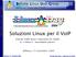 User. Belluno. Group. Soluzioni Linux per il VoIP. Soluzioni Linux per il Voip. Linux. Davide Dalla Rosa e Massimo De Nadal. Belluno, 27 novembre 2004