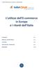 L utilizzo dell E-commerce in Europa e i ritardi dell Italia
