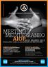 Meeting Mediterraneo AIOP 30/31 marzo 2012