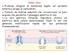 Proteine integrali di membrana legate sul versante esterno a gruppi di carboidrati. Formati da diverse subunità che circoscrivono un poro acquoso che