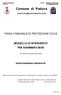 Comune di Padova. Unità di Progetto di Protezione Civile PIANO COMUNALE DI PROTEZIONE CIVILE MODELLO DI INTERVENTO PER SGOMBERO NEVE