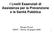 I Livelli Essenziali di Assistenza per la Prevenzione e la Sanità Pubblica. Renato Pizzuti SANIT Roma, 25 giugno 2008