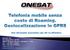 Onesat s.r.l nasce nel 2002 con lo scopo di offrire servizi di telefonia VoIP e Internet Satellitare.