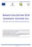 BANDO VOLONTARI SCN GARANZIA GIOVANI 2014