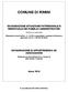 COMUNE DI RIMINI DICHIARAZIONE SITUAZIONE PATRIMONIALE E REDDITUALE DEI PUBBLICI AMMINISTRATORI RIFERITA ALL ANNO 2009