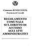 Comune di SALUGGIA. Provincia di Vercelli REGOLAMENTO COMUNALE SUL DIRITTO DI ACCESSO AGLI ATTI AMMINISTRATIVI