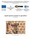 Aspetti igienico-sanitari in apicoltura Terza edizione