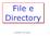 File e Directory. M. Guarracino - File e Directory 1