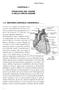 CAPITOLO 1 FISIOLOGIA DEL CUORE E DELLA CIRCOLAZIONE 1.1) ANATOMIA CARDIACA: L ESSENZIALE