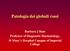 Patologia dei globuli rossi. Barbara J Bain Professor of Diagnostic Haematology, St Mary s Hospital Campus of Imperial College