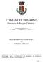 COMUNE DI ROSARNO. Provincia di Reggio Calabria REGOLAMENTO COMUNALE DI POLIZIA URBANA