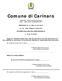 Comune di Carinaro. SERVIZIO : Affari Generali e Istituzionali Ufficio : RESP. AREA AMMINISTRATIVA PROPOSTA N. 41 DEL 21-02-2013