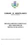 COMUNE DI MONTELANICO PROVINCIA DI ROMA REGOLAMENTO COMUNALE DEL SERVIZIO DI MENSA SCOLASTICA