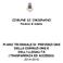 COMUNE DI OMIGNANO. Provincia di Salerno PIANO TRIENNALE DI PREVENZIONE DELLA CORRUZIONE E DELL ILLEGALITÀ (TRASPARENZA ED ACCESSO) 2014-2016