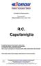 Contratto di Assicurazione. Convenzione Responsabilità Civile verso Terzi. R.C. Capofamiglia