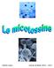 Indice. Articoli di cronaca Pag. 2. Funghi & muffe Pag. 7. Micotossine definizione Pag. 8. Caratteristiche delle micotossine: